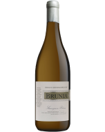 Cold Mountain Vineyards Brunia Sauvignon Blanc 2023 wine bottle shot