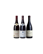 Burgundy on a Budget Rouge pack shot
