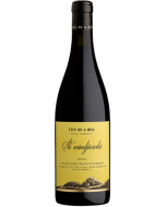 City On a Hill Sk'windjiesvlei Tinta 2022 wine bottle shot