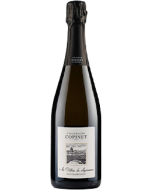 Copinet Marie Au Detour du Sezannais Blanc de Blancs NV champagne bottle shot