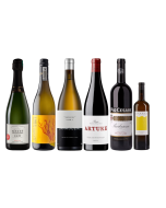 Festive Food and Wine Pairing Pack shot