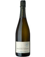 Hugues Godmé Les Terres d'Unions Brut Nature 1er Cru  NV champagne bottle shot