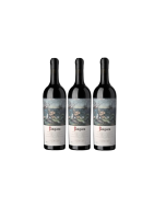 Pangaea 2015 3 Bottle-Case 