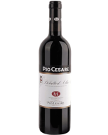 Pio Cesare Dolcetto d'Alba 2022 wine bottle shot