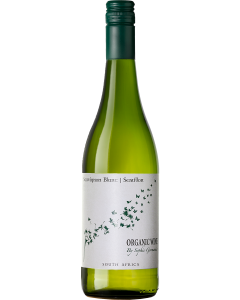 Germanier Organic White 2023 wine bottle shot