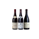 Burgundy on a Budget Rouge pack shot