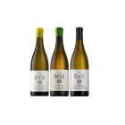 Rall White Allocation Pack shot