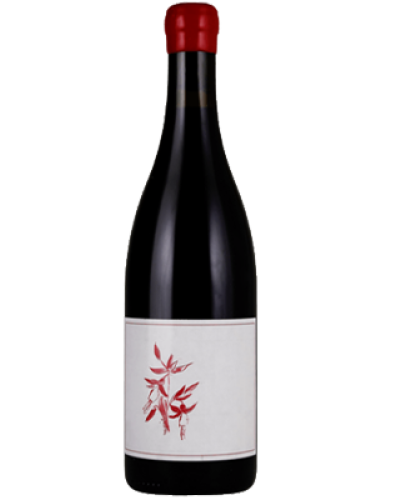Arnot-Roberts Santa Cruz Mountains Heaven & Earth Pinot Noir 2021 wine bottle shot
