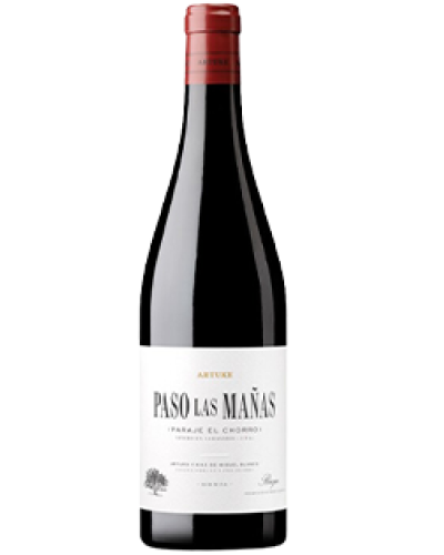 Artuke Paso las Mañas Tinto 2022 wine bottle shot
