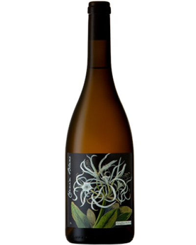  Botanica Mary Delany Chenin Blanc 2023 wine bottle shot