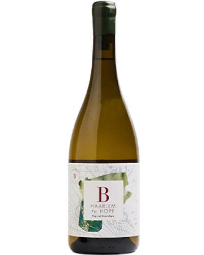 Bruwer Vintners Haarlem to Hope 2023 wine bottle shot