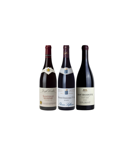 Burgundy on a Budget Rouge pack shot