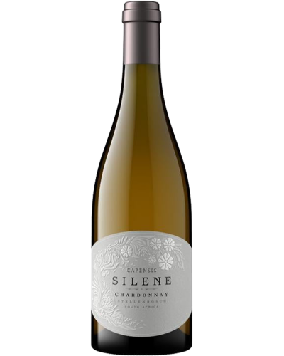 Capensis Silene Chardonnay 2022 wine bottle shot