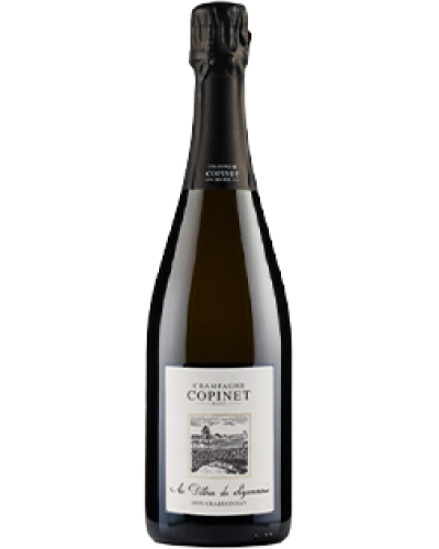Copinet Marie Au Detour du Sezannais Blanc de Blancs NV champagne bottle shot