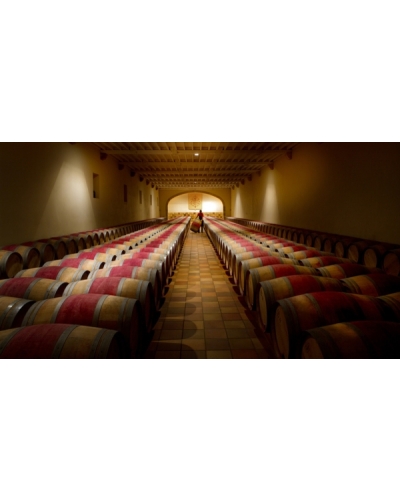 Calling all producers – Exclusive winemakers' lunch event image shot