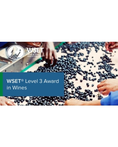 Premium WSET Level 3 Award in Wines Course image shot