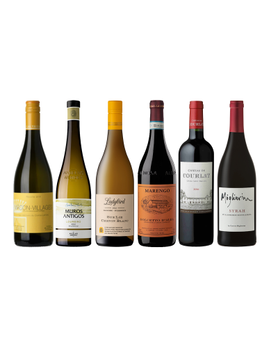 Wine Cellar Insiders' April 2025 Image Shot