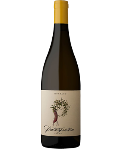 Patatsfontein Steen 2023 wine bottle shot