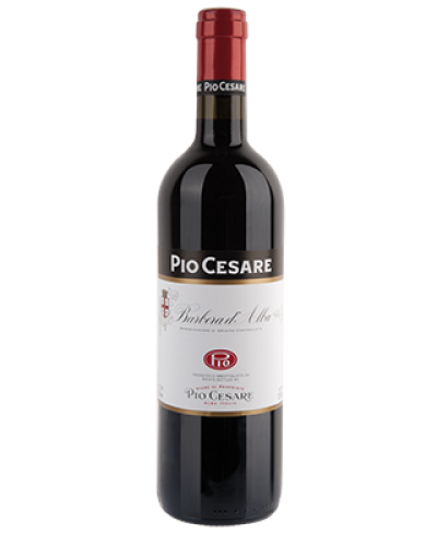 Pio Cesare Barbera d'Alba 2021 wine bottle shot