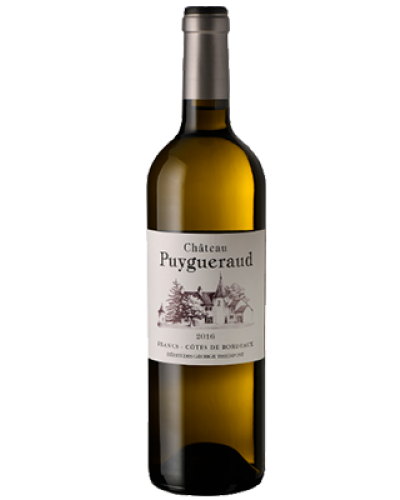 Puygueraud Francs Cotes de Bordeaux Blanc 2016 wine bottle shot