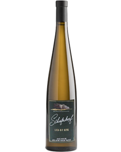 Schieferkopf Lieu-Dit Berg 2021 wine bottle shot