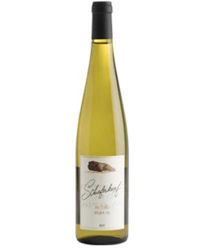  Schieferkopf Riesling Trocken-Sec 2022 wine bottle shot