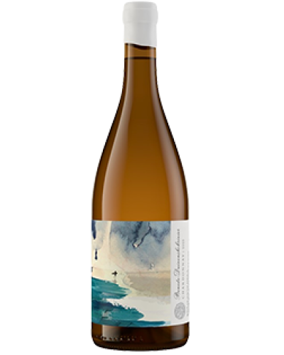 Trizanne Signature Wines Benede-Duivenshokrivier Chardonnay 2023 wine bottle shot