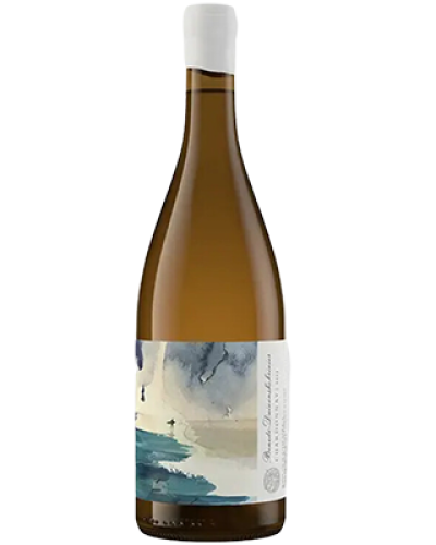 Trizanne Signature Wines Benede-Duiwenshokrivier Chardonnay 2022 wine bottle shot
