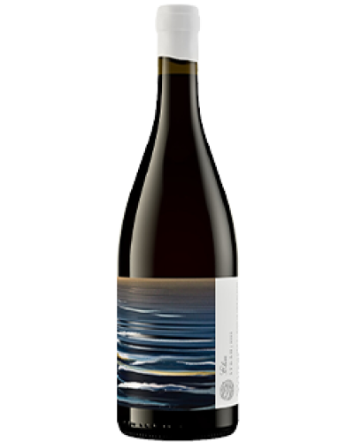 Trizanne Signature Wines Elim Syrah 2023 wine bottle shot
