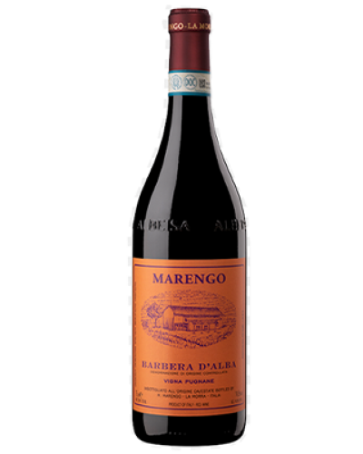 Marengo Barbera d'Alba Pugnane 2021 wine bottle shot