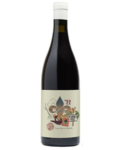 Van Loggerenberg Wines Lötter Cinsaut 2022 wine bottle shot