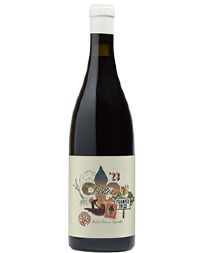 Van Loggerenberg Wines Lötter Cinsaut 2023 wine bottle shot