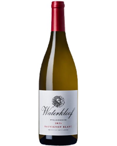 Waterkloof Sauvignon Blanc 2023 wine bottle shot
