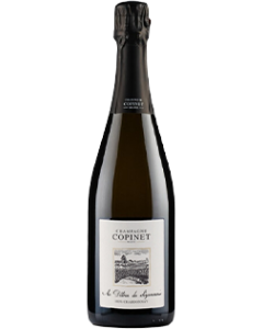 Copinet Marie Au Detour du Sezannais Blanc de Blancs NV champagne bottle shot