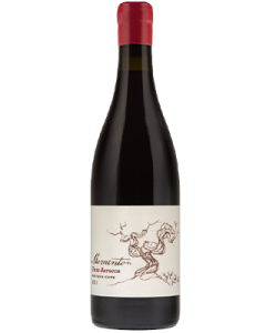 Momento Tinta Barocca 2021 wine bottle shot
