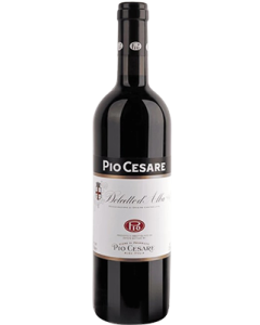 Pio Cesare Dolcetto d'Alba 2022 wine bottle shot