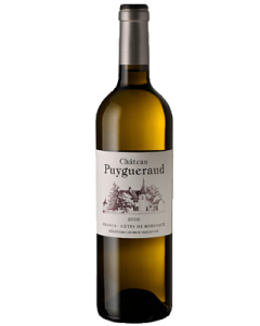 Puygueraud Francs Cotes de Bordeaux Blanc 2016 wine bottle shot