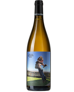 Testalonga El Bandito Cortez 2024 wine bottle shot