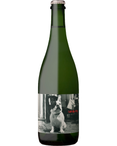 Testalonga El Bandito I am The Ninja 2024 wine bottle shot