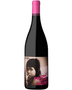 Testalonga Baby Bandito Follow Your Dreams 2024 wine bottle shot