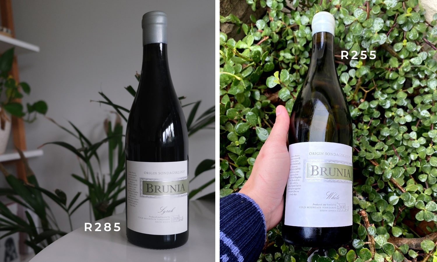 Brunia White and Syrah 2019