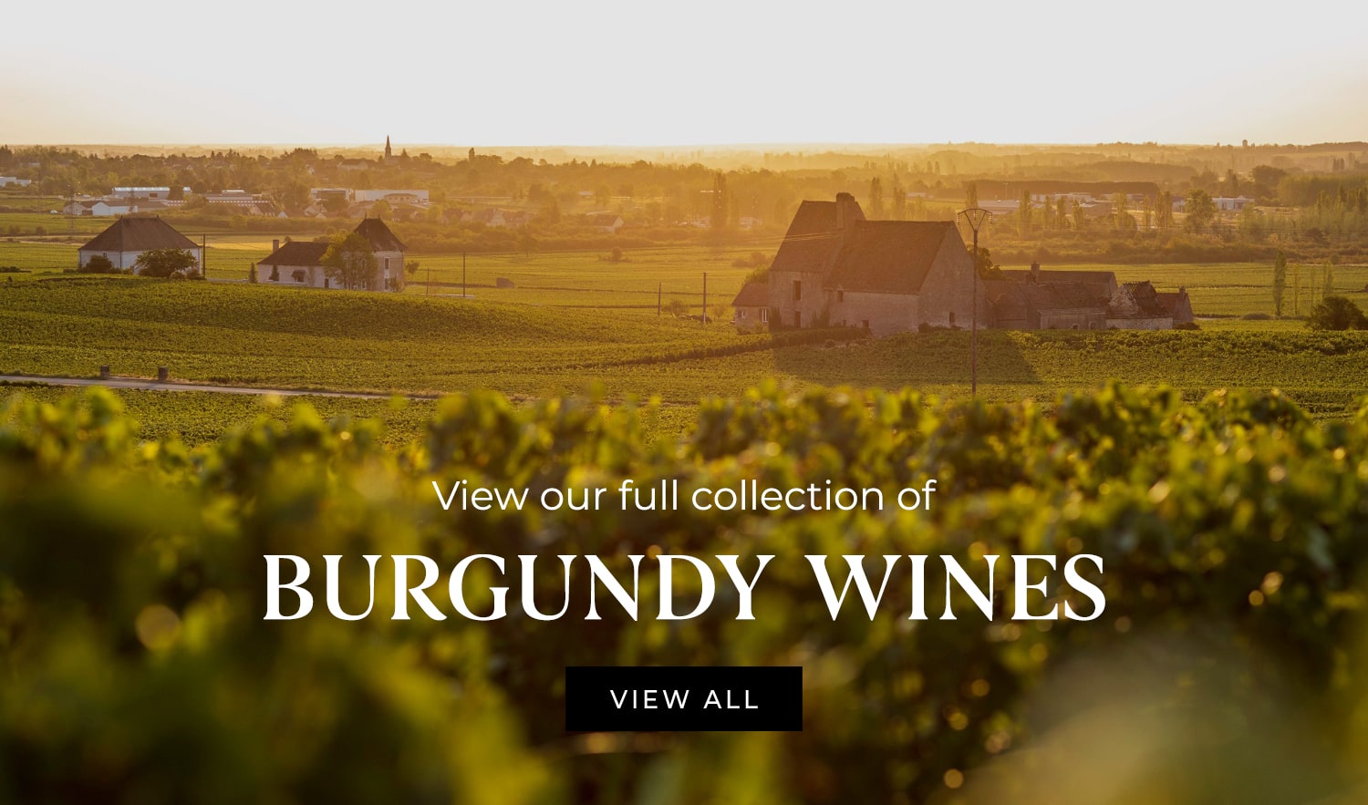 View all Burgundy wines