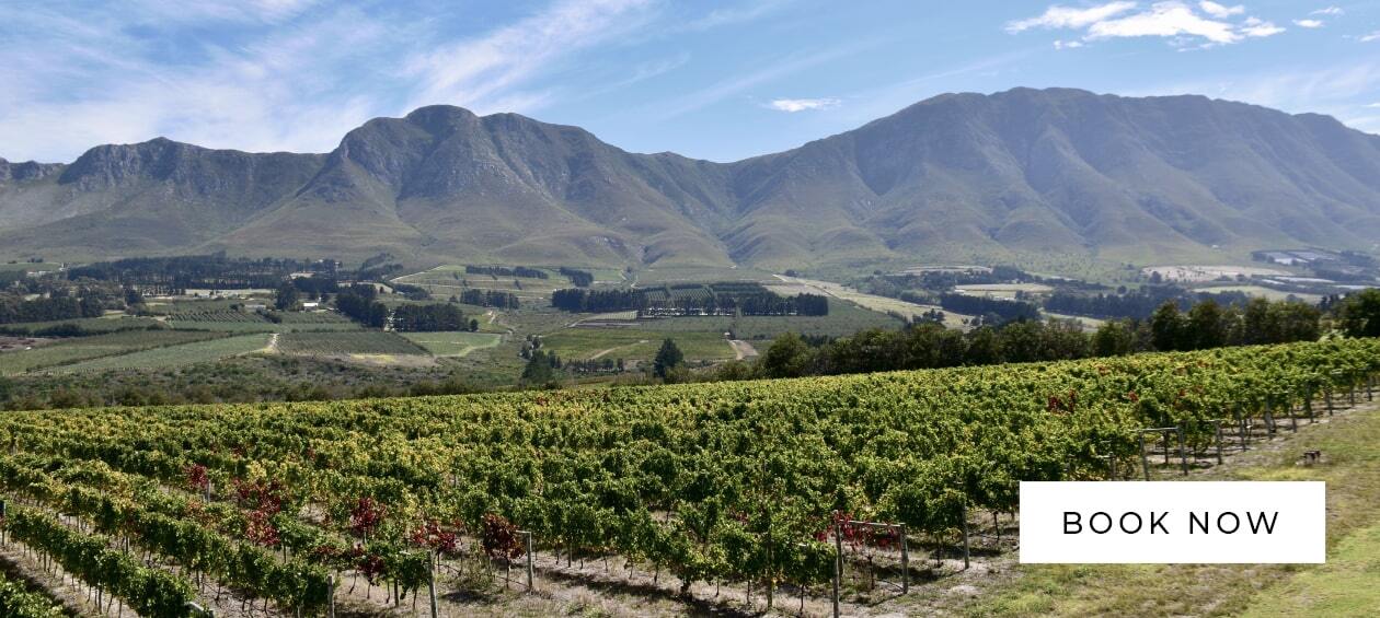 SA Pinot Noir vs. the world tasting - Book online