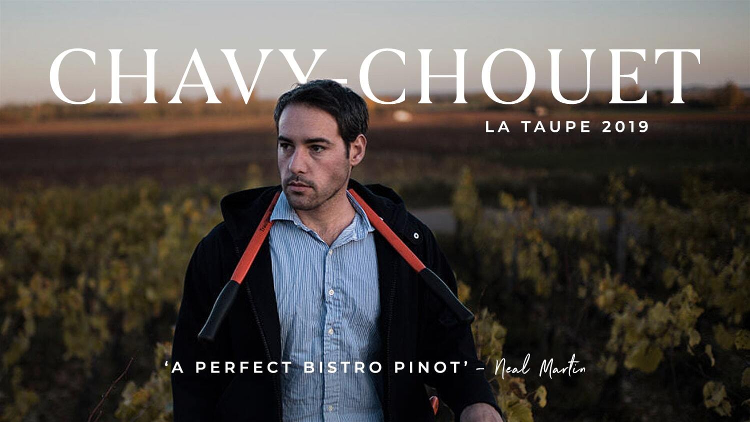 Chavy-Chouet La Taupe 2019: 'A perfect bistro Pinot' – Neal Martin