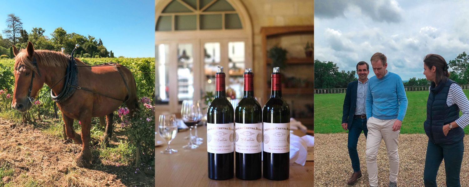 Bordeaux 2023: Last chance to secure top buys & single bottles!
