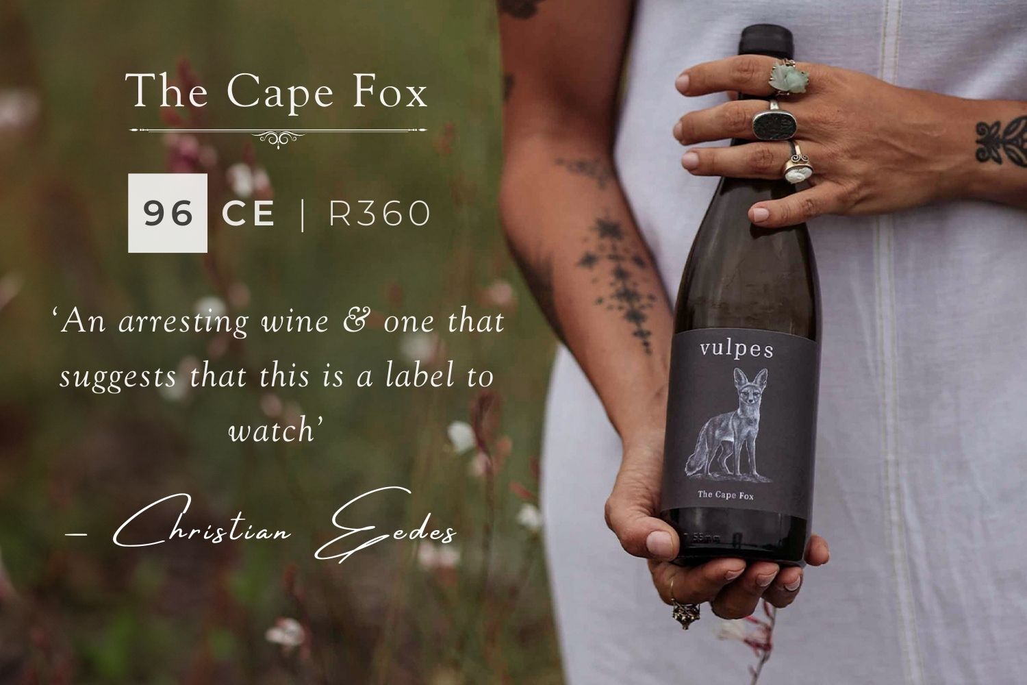 Brilliantly rendered new Chenin Blanc: Vulpes The Cape Fox 2022